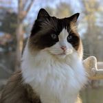 Nick Perugini - @whypeepa - Instagram