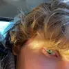 Nickpescetto - @nickbertrandi_ - TikTok
