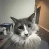 Nick Petersen - @nickpetersen01 - TikTok
