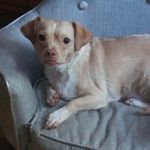 Nick Petit - @petit679 - Instagram