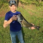 Nick - @nick__petri - Instagram