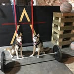 Nick Petro - @ascensionathleticslanc - Instagram