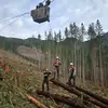 nickpetro - @mistanick1 - TikTok
