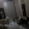 Nick Petrov - @nickpetrov05 - TikTok
