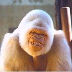 Nick Petrovic - @repoman6945 - Instagram