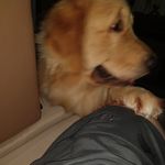 Nick_Petrus - @nick_petrus - Instagram