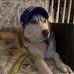 Nick Petsche - Facebook