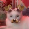 Nick Petty - @nick20081017 - TikTok