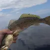 nickpetty359 - @nickpetty359 - TikTok