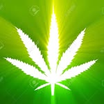 Nick Peyton - @nickpeyton99 - Instagram