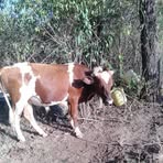 Nick Peyton - Facebook