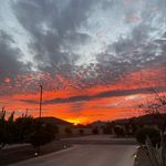 Nick Pfeifer - @nick_pfeifer1 - Instagram