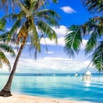 Nick Pham - Facebook
