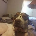 Nicholas Phipps - @nick.phipps.984 - Instagram