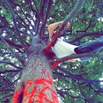 Nick Piccolo - @nickpiccol0 - Instagram