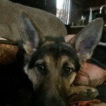 Nick Picinich - @croat80 - Instagram