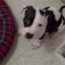 Nicki Picinich - Facebook