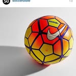 Nicholas Pipitone - @nicholas.pipitone9 - Instagram