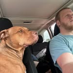 Nick Poe - @nickpoe81 - Instagram