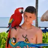 Nick Popov - @nick.popov.20 - TikTok