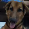 Nick porto - @jr12335678 - TikTok