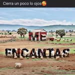 Nick Porto - @nickporto88 - Instagram
