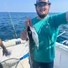 Nick Prater - @nick_prater64 - TikTok