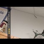 Nick Prather - @nick21prather - Instagram