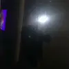 Nicole Sprenger - @nicksprengerr - TikTok