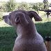 Nicky Preuss - Facebook