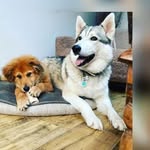 Nick Pringle - @nick.pringle.5201 - Instagram