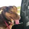 Nick - @nick.prinsloo - TikTok