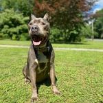 Nick Priore - @priorenick - Instagram