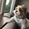 Nick Proctor - @nickproct - TikTok