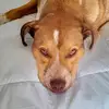Nick Propsting - @nick.propsting - TikTok