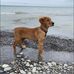 Nicki Prout - Facebook