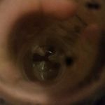 Nick Provost - @nickprovost_ - Instagram