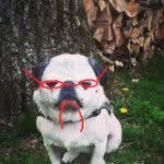 Nick - @nickpuerto54 - Instagram