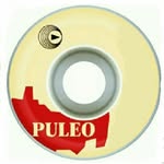 Nick  Puleo - @nicholaspuleo - Instagram