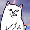 user7777526581635 - @pulloffnick - TikTok
