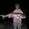 Nick P - @nickpurdy2 - TikTok