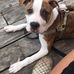 Nick Putman - Facebook