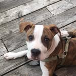 Nick Putman - @iwantstickers02 - Instagram
