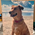 Nick Putnam - @putnam.nick - Instagram
