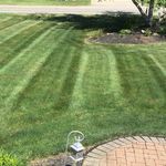 Nick Quarando - @qlawnservice - Instagram