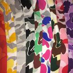 Nick Quesada - @in_ape_we_trust - Instagram