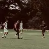 Radu - @nickradloff7 - TikTok