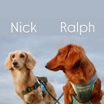 NickとRalph - @nick_8.15 - Instagram