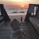Nick Rausch - @rausch5084 - Instagram