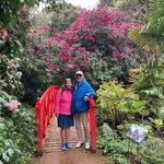 Nick Strawson - @nickstrawson - Instagram
